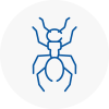 Ant Removals In Prestwich