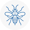 Prestwich Hornet Nest Removals