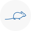 Mice Exterminators In Prestwich