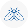 Moth Control Specialists In Prestwich