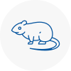 Rat Control Prestwich