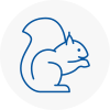 Prestwich Rodent Removals