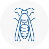 Prestwich Wasp Nest Removal